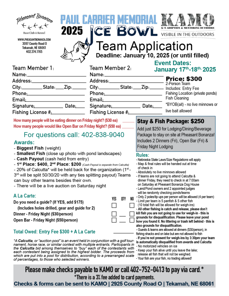 Ice Bowl Team Application